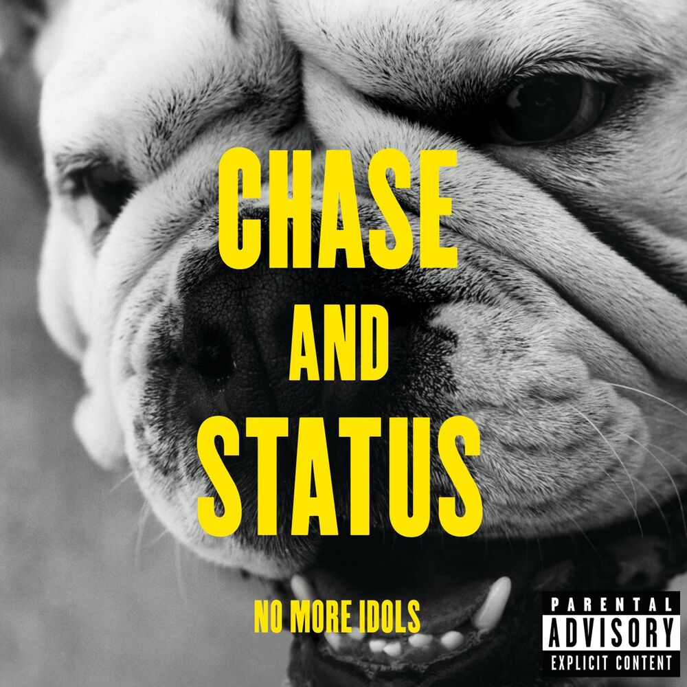 Picture of No More Idols (Deluxe)