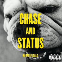 Cover of No More Idols (Deluxe)