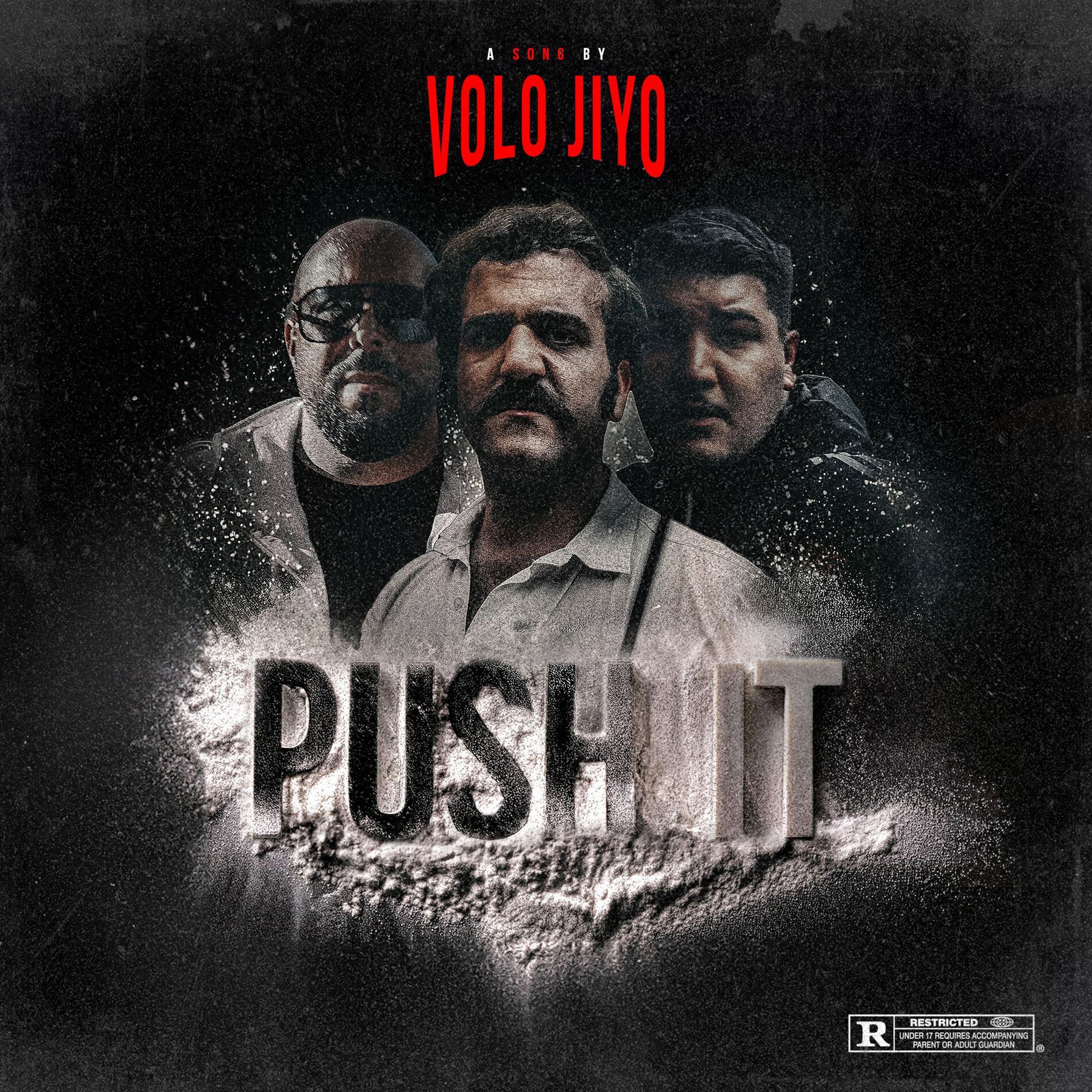 Album cover of PUSH IT