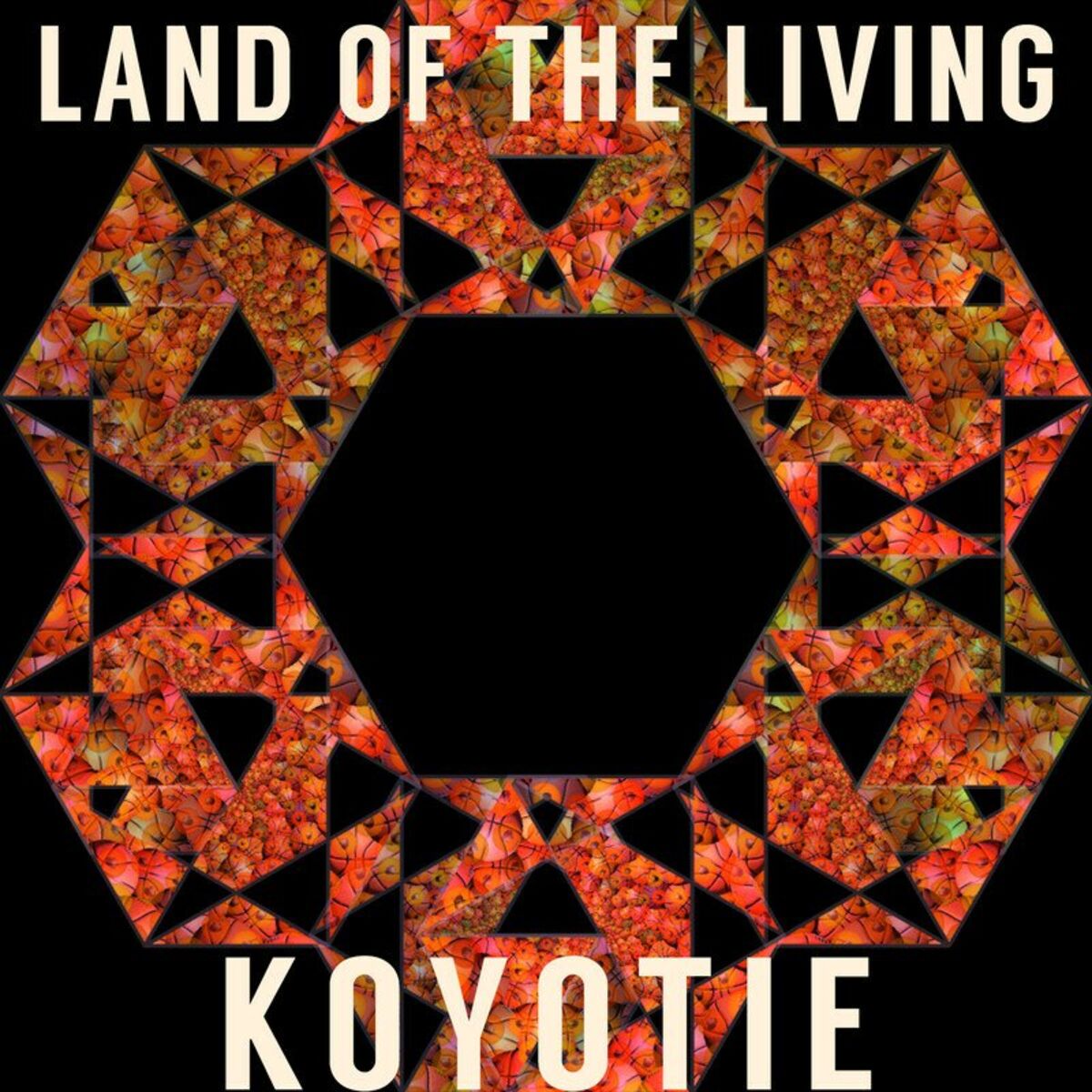Album cover of Land of the Living