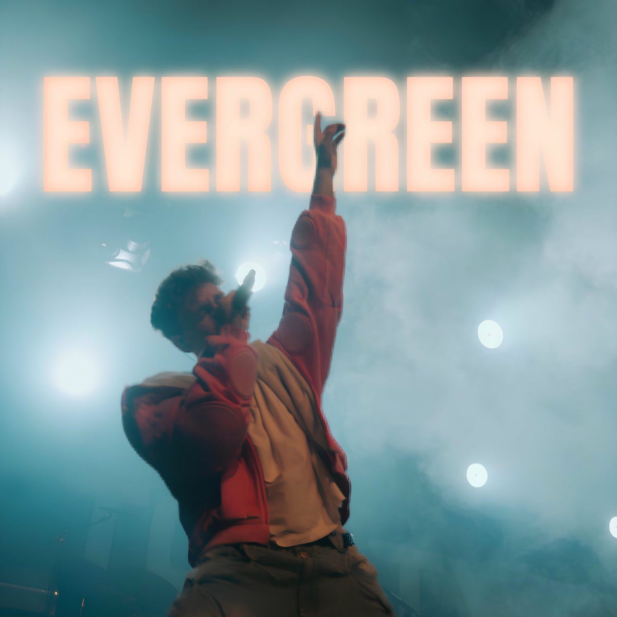 Album cover of Evergreen