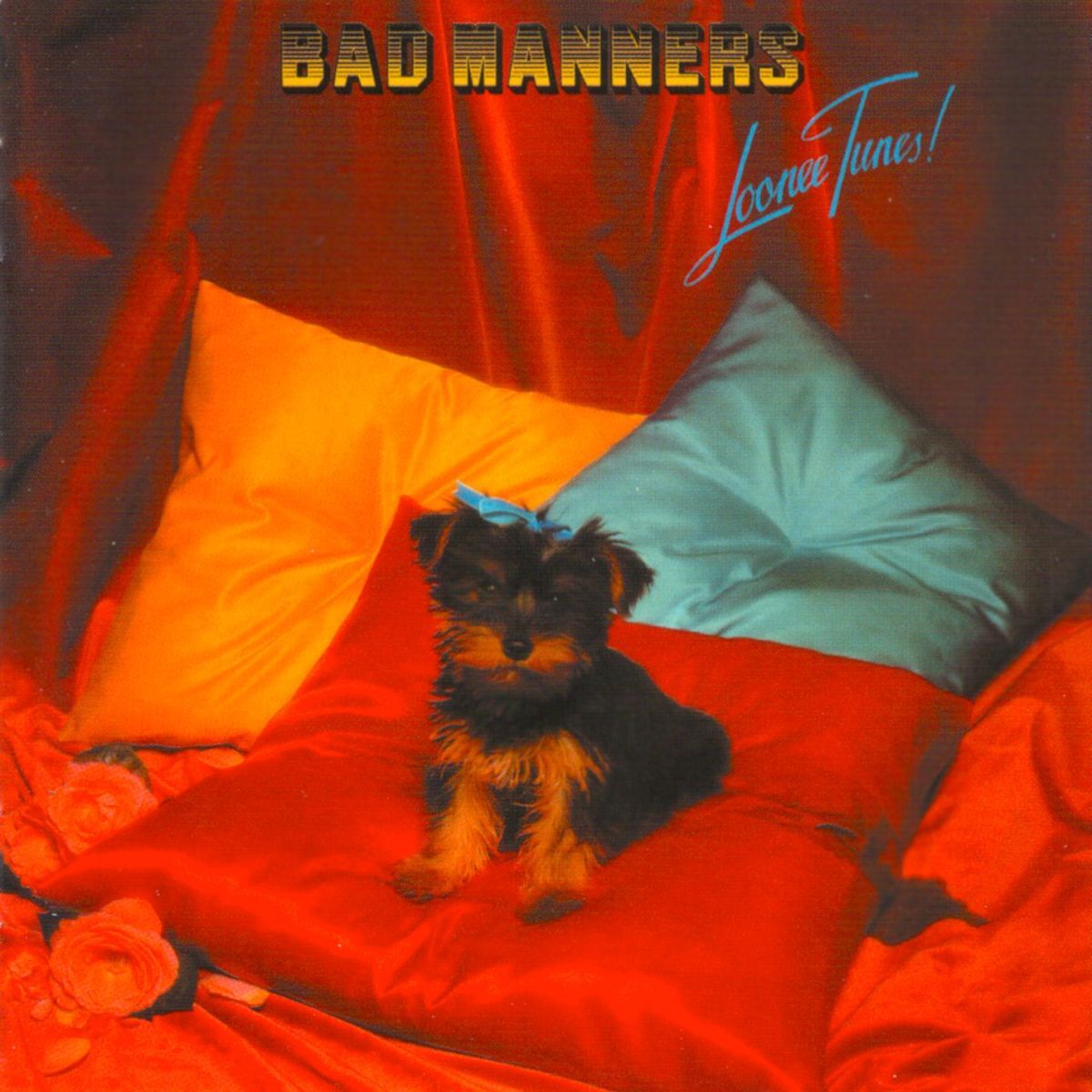 Album cover of Loonee Tunes!