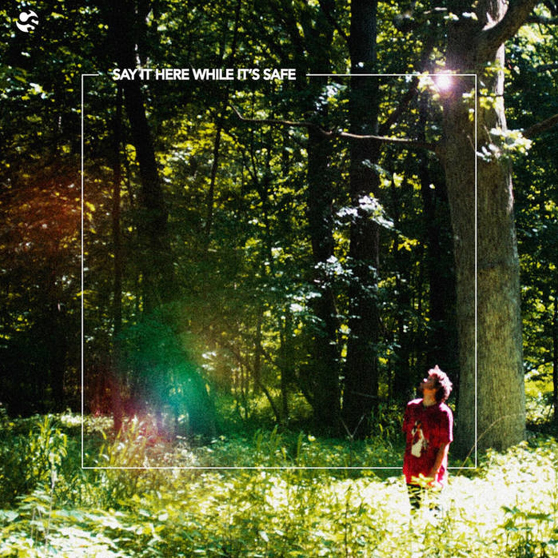 Album cover of Say It Here While Its Safe