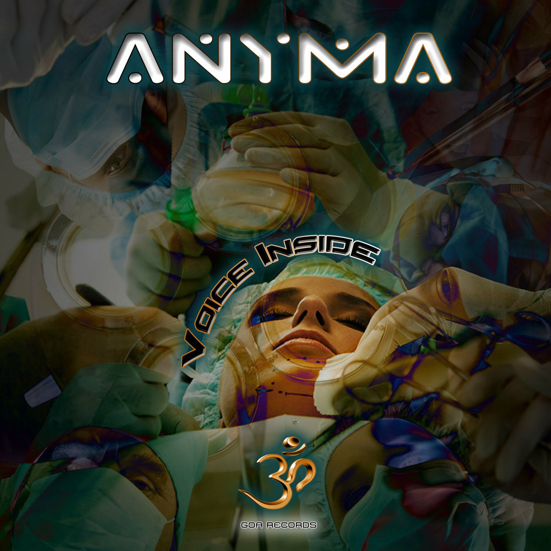 Album cover of Voice Inside