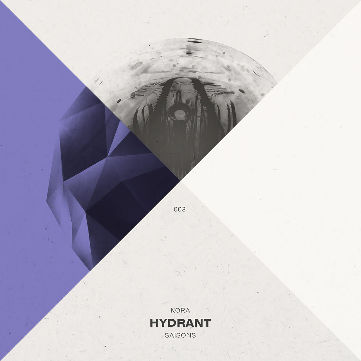 Album cover of Hydrant (Original Mix)
