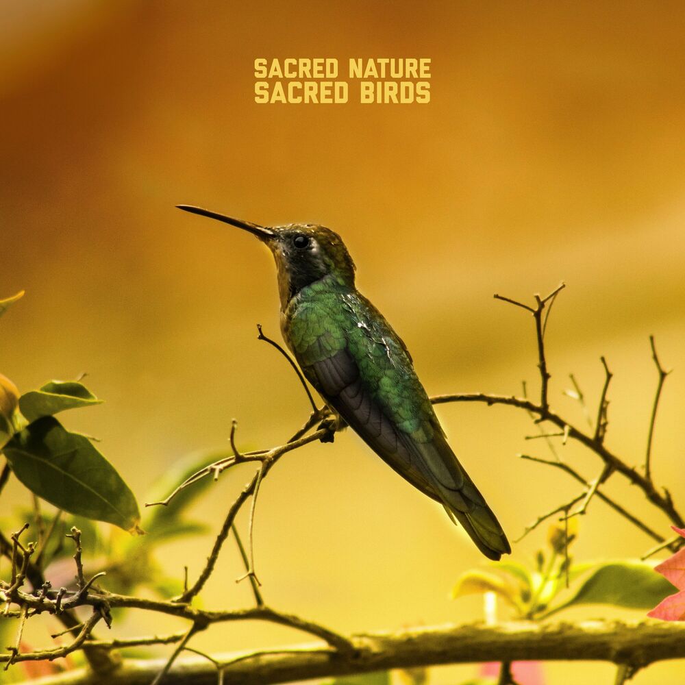 Picture of Sacred Birds
