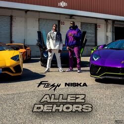 Cover of Allez dehors