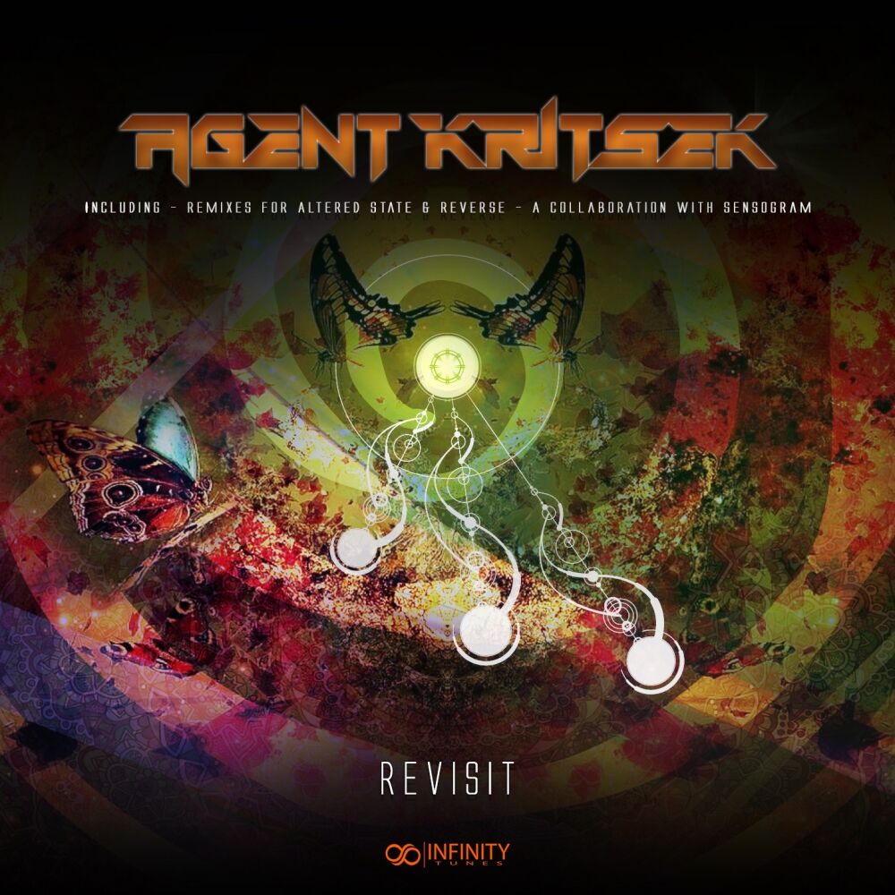 Picture of Revisit
