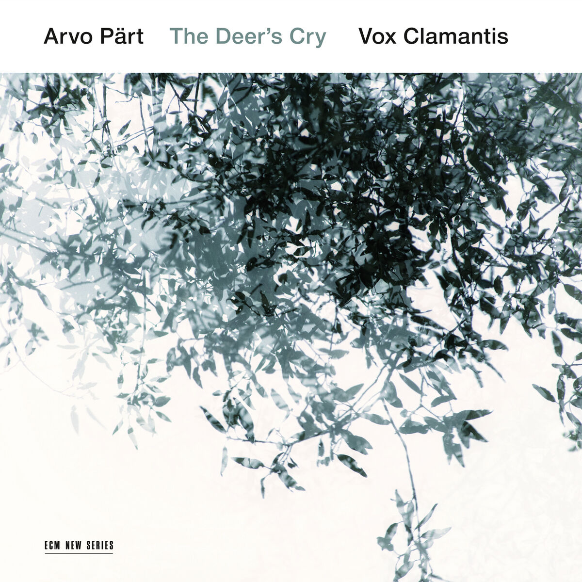 Album cover of Arvo Pärt: The Deer's Cry