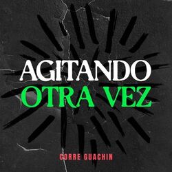 Cover of Agitando otra vez
