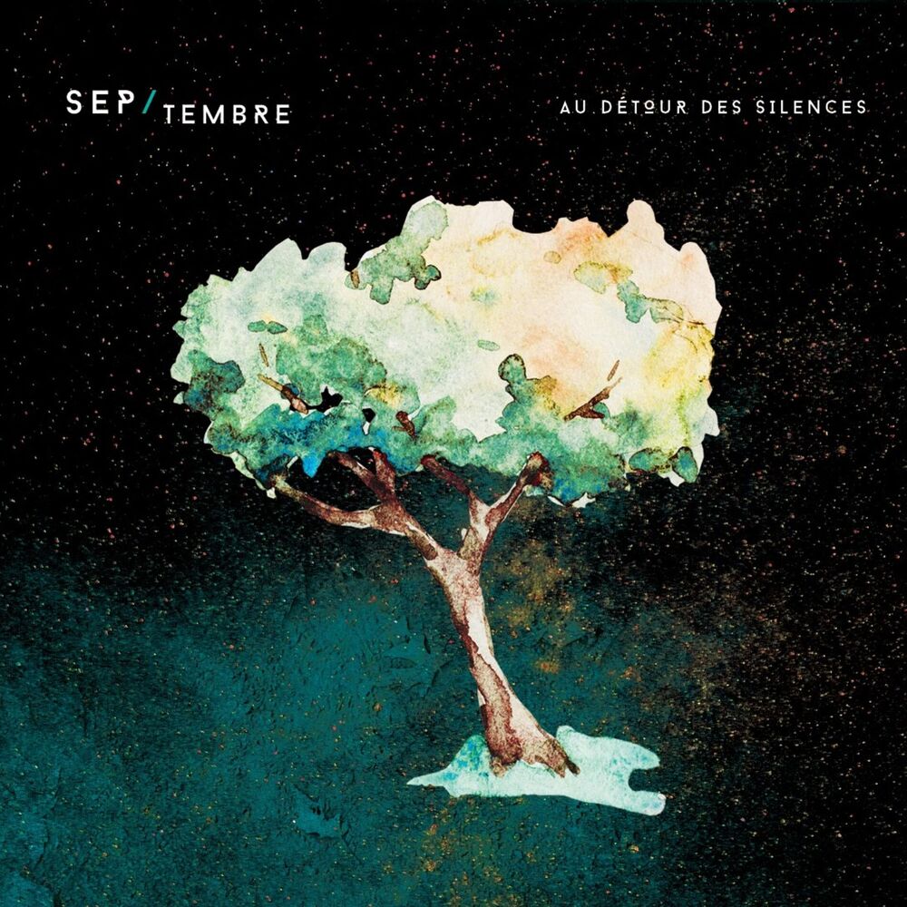 Picture of Au détour des silences