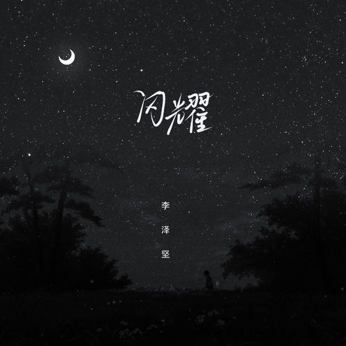 闪耀