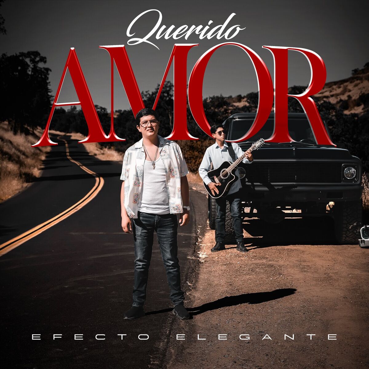 Album cover of Querido Amor