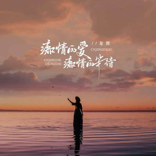 痴情的爱痴情的等待