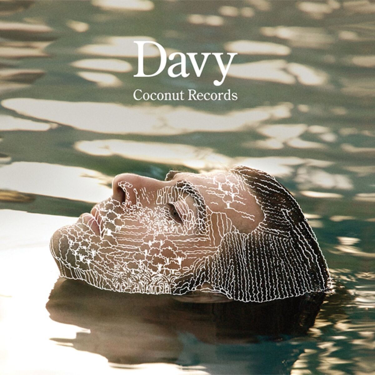 Album cover of Davy
