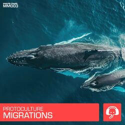 Cover of Migrations