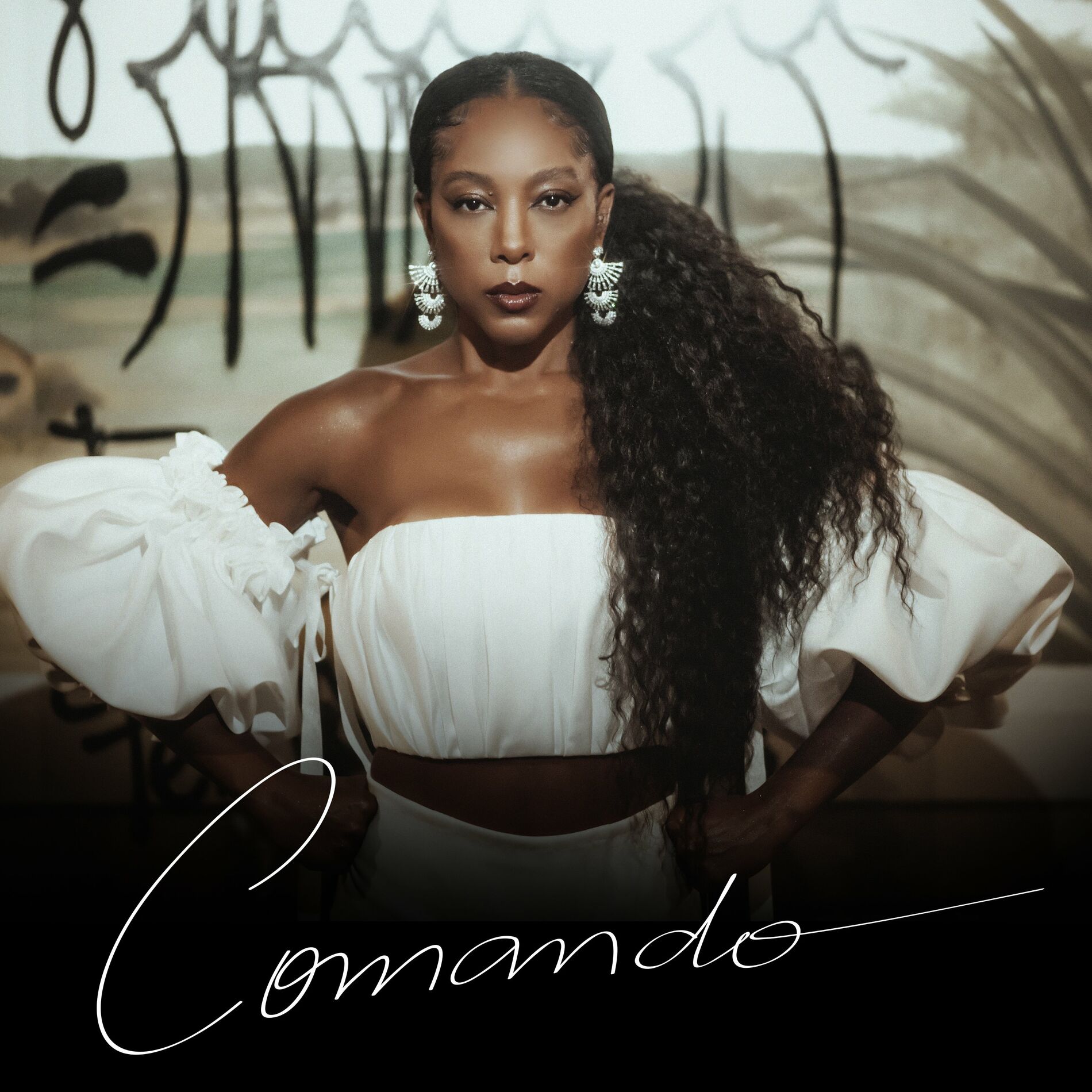 Album cover of Comando