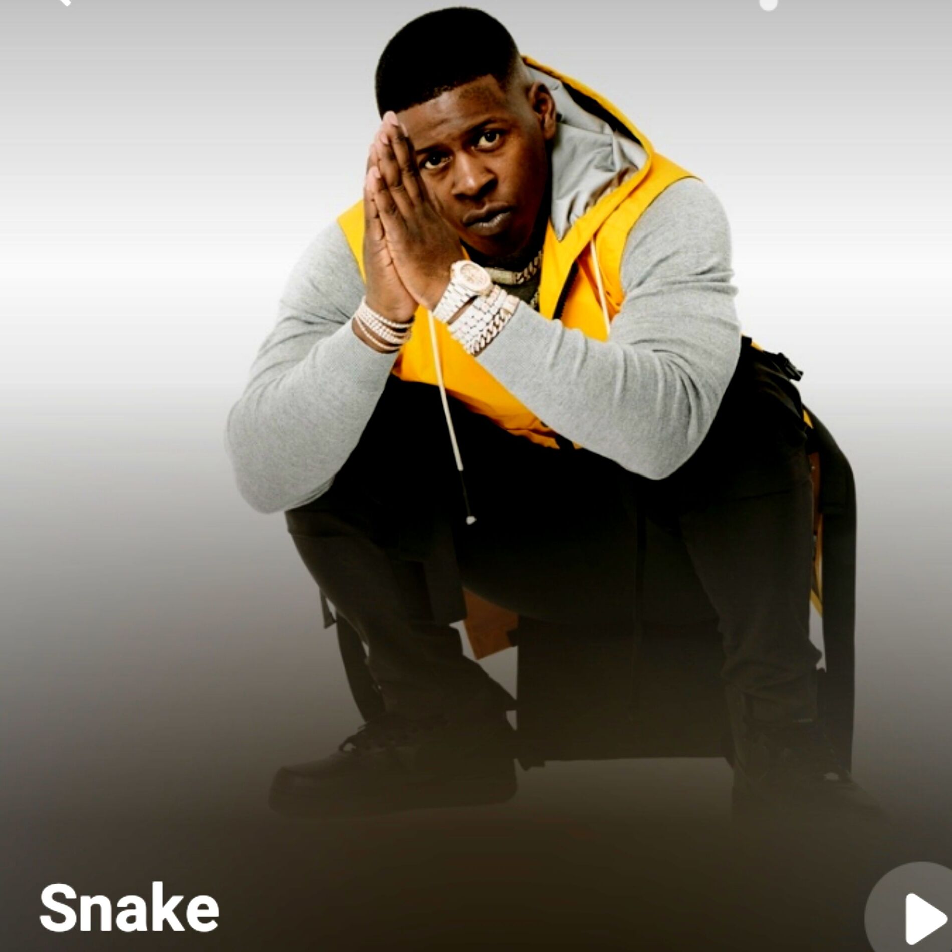 Album cover of Snake
