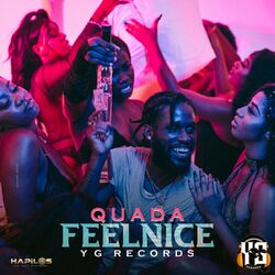 Cover of Feel Nice