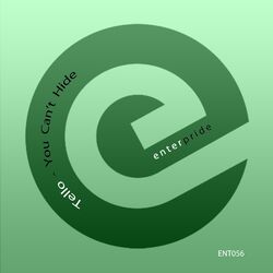Cover of You Can't Hide