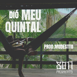 Cover of Meu Quintal