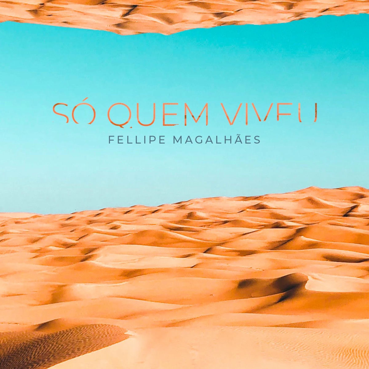 Album cover of Só Quem Viveu