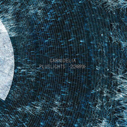 Cover of Pluslights -21248931-