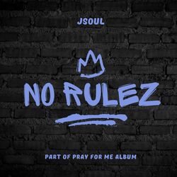 Cover of No Rulez