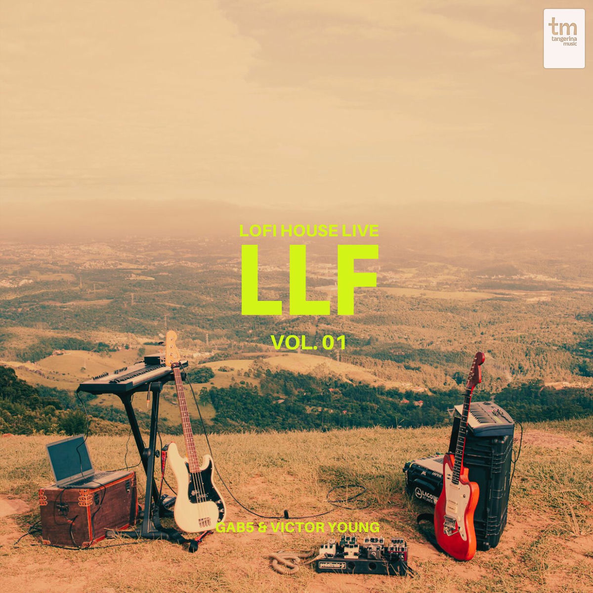 Album cover of Live Lofi House Vol 1