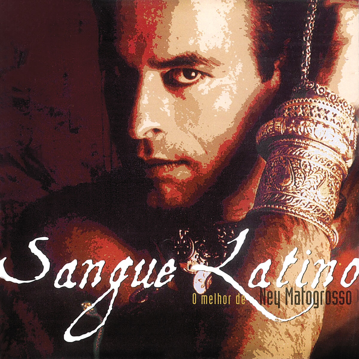 Album cover of Sangue Latino - O Melhor De Ney Matogrosso