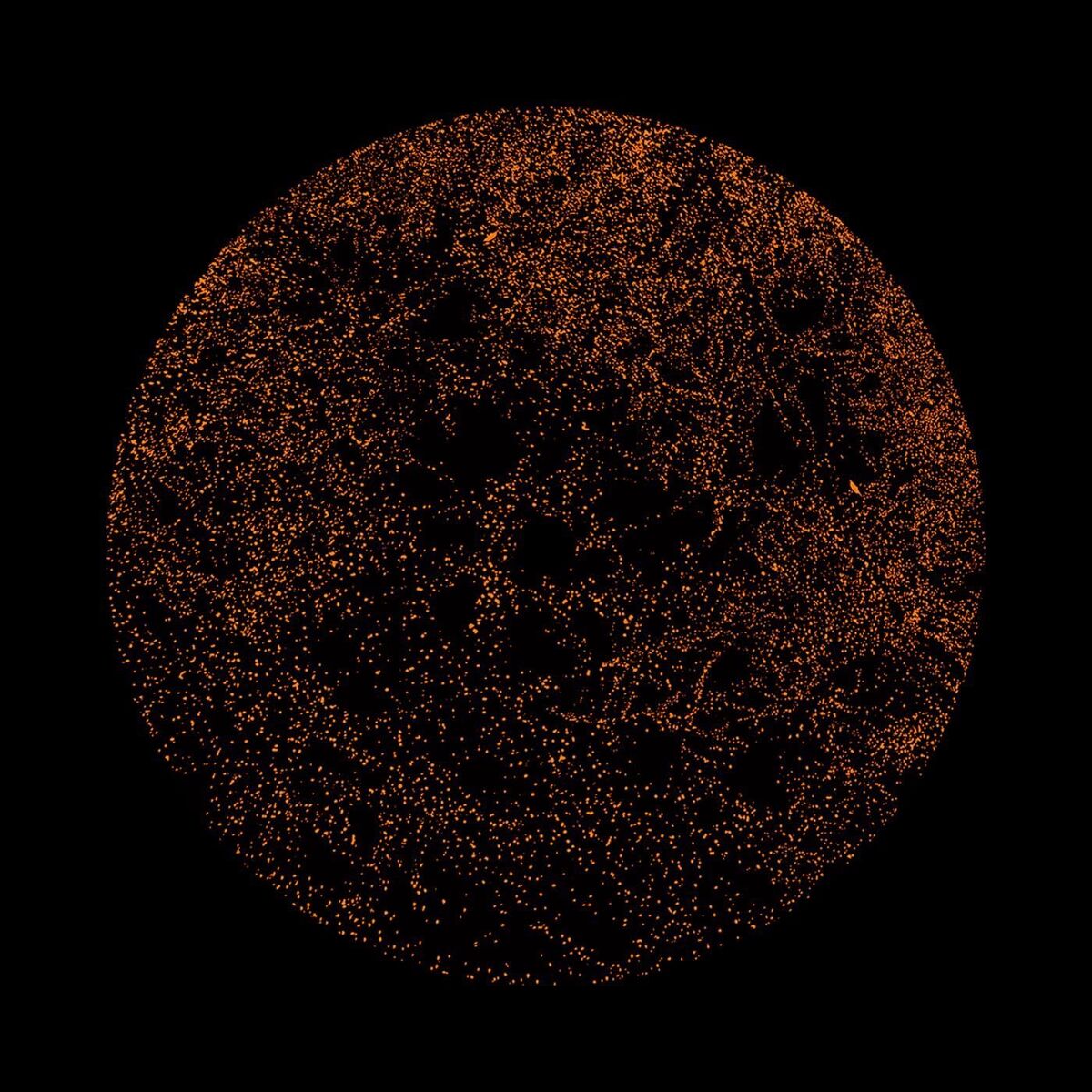 Album cover of ZEZE (Acoustic Version)