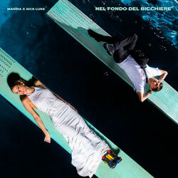Cover of Nel fondo del bicchiere