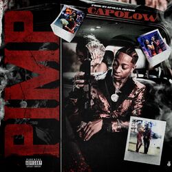 Cover of Pimp