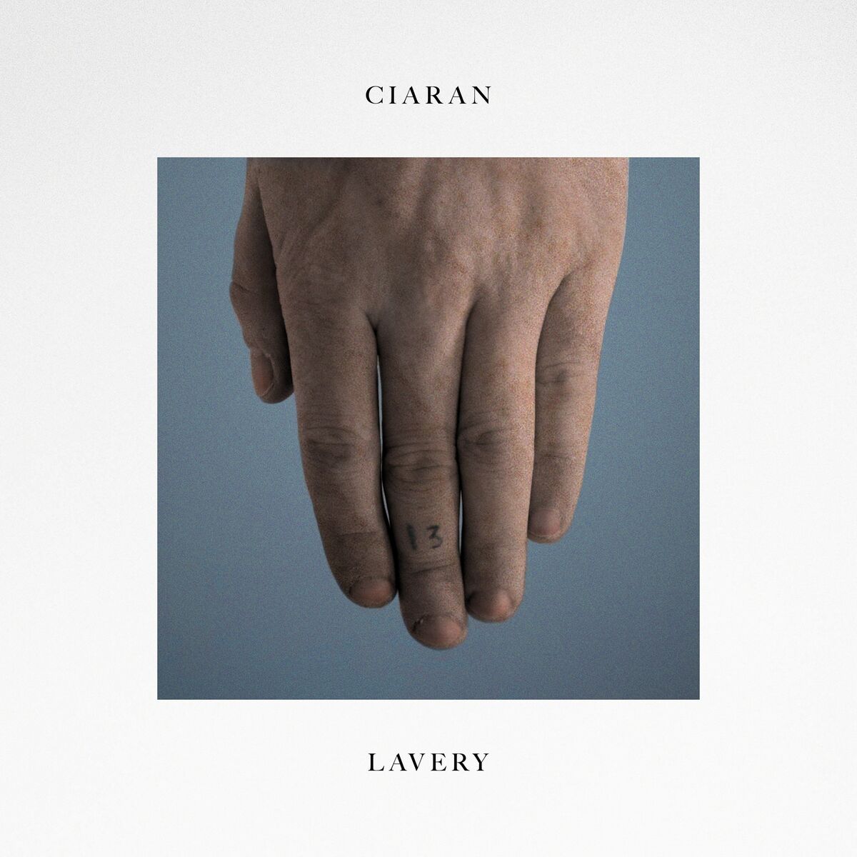 Album cover of 13