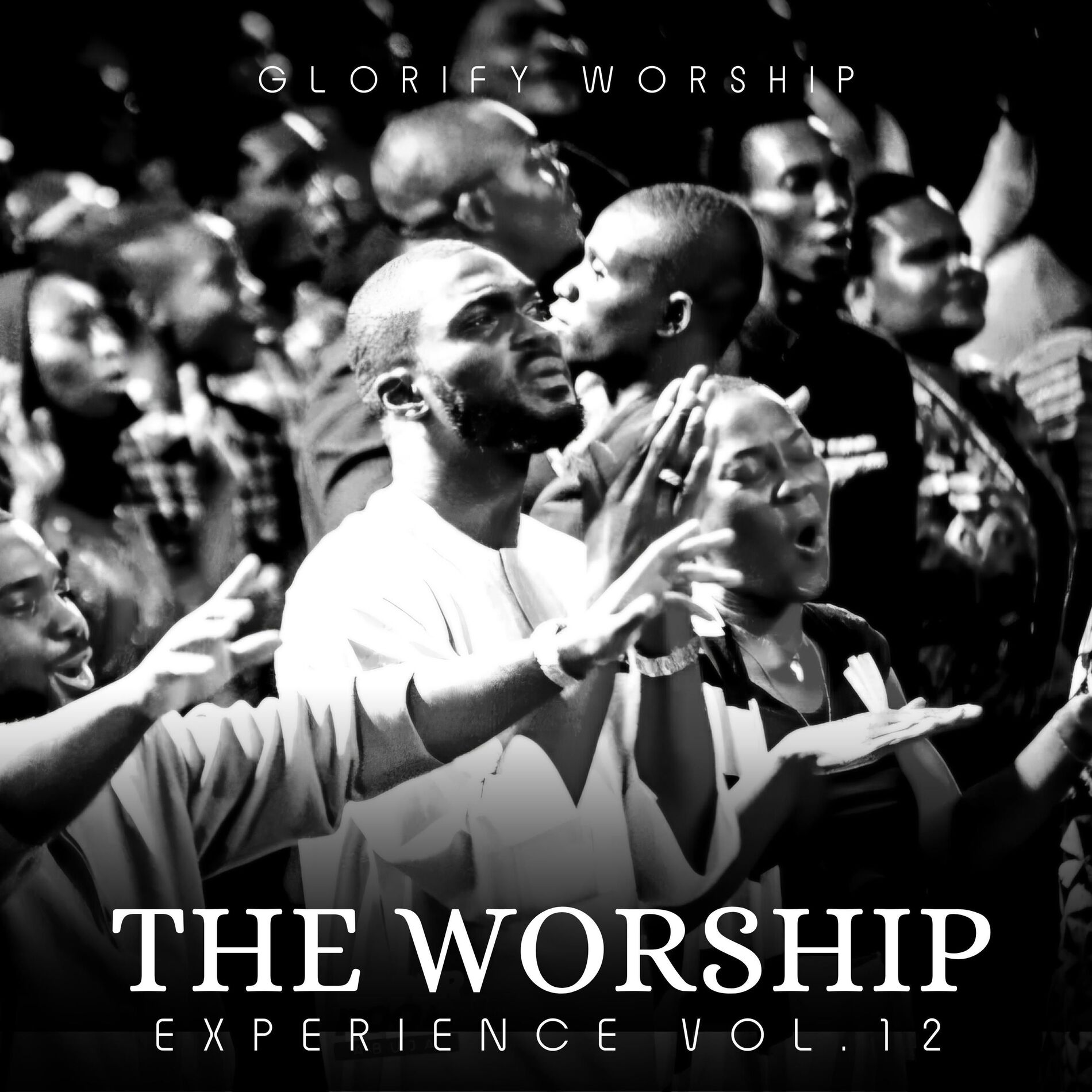 Album cover of The Worship Experience, Vol. 12