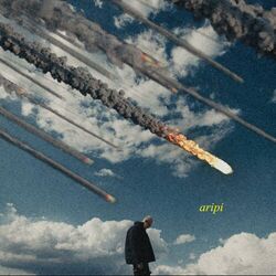 Cover of Aripi