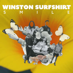 Cover of Smile