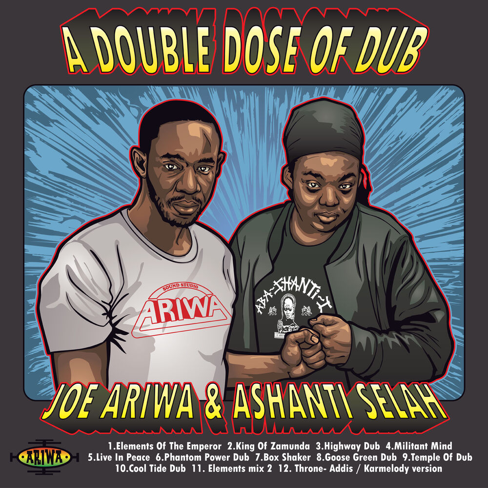 Picture of A Double Dose of Dub