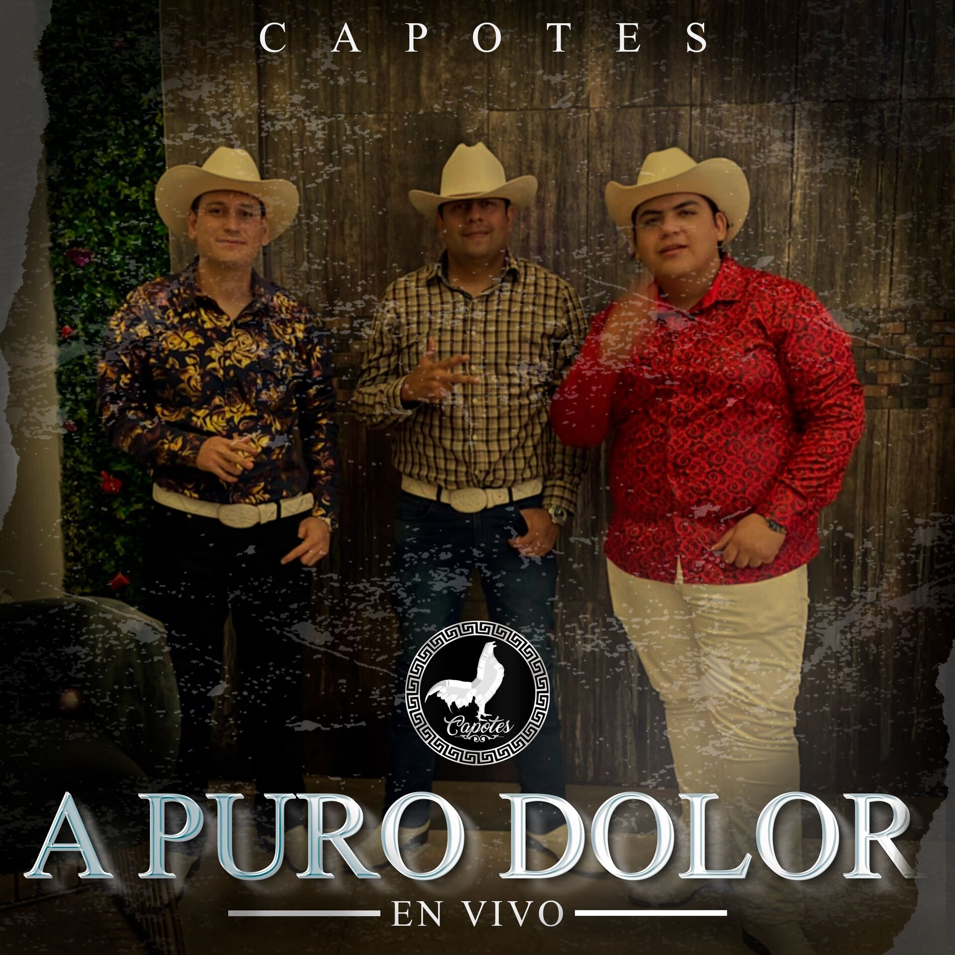 Album cover of A Puro Dolor (En Vivo)