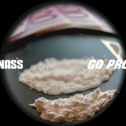 Cover of Go Pro
