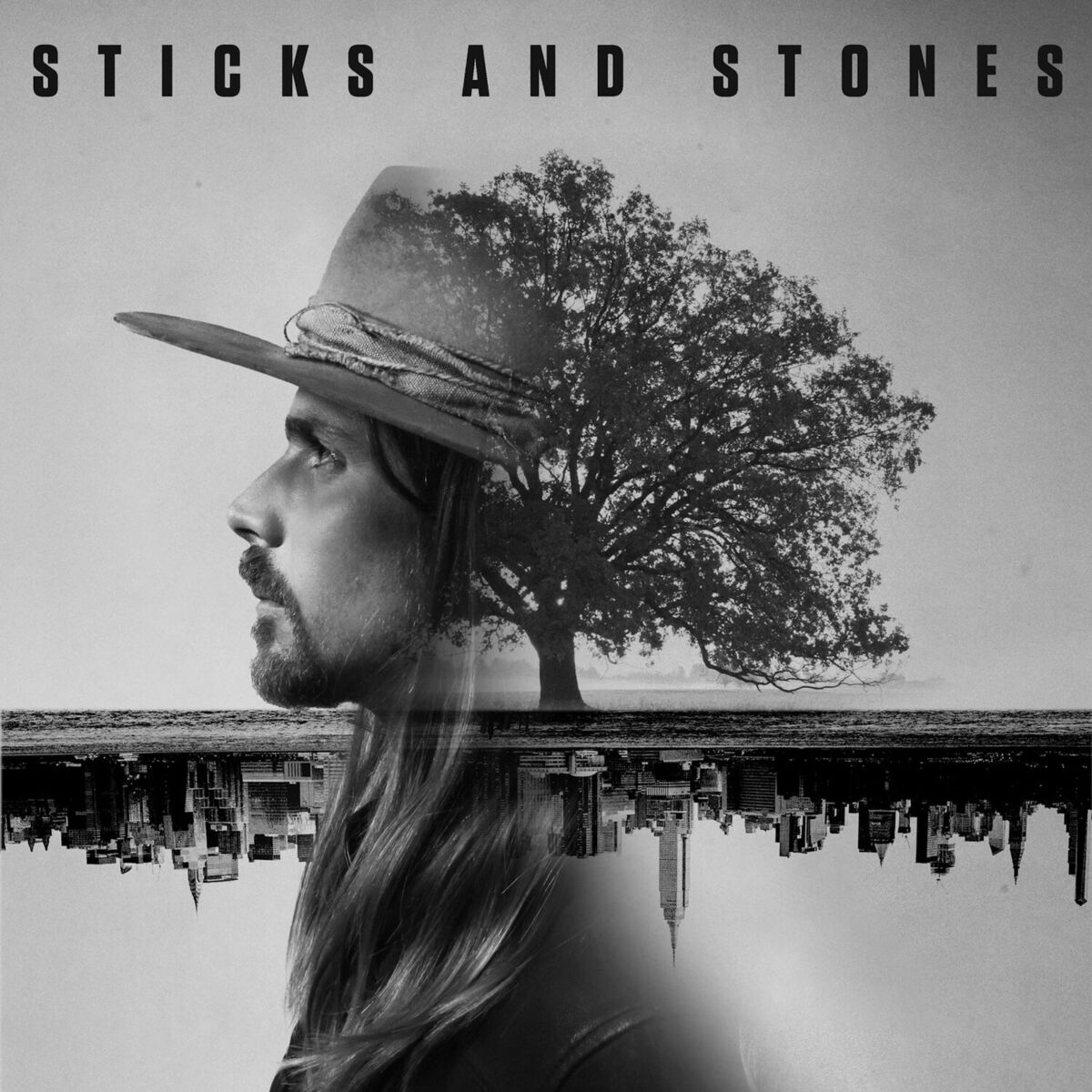 Album cover of Sticks and Stones