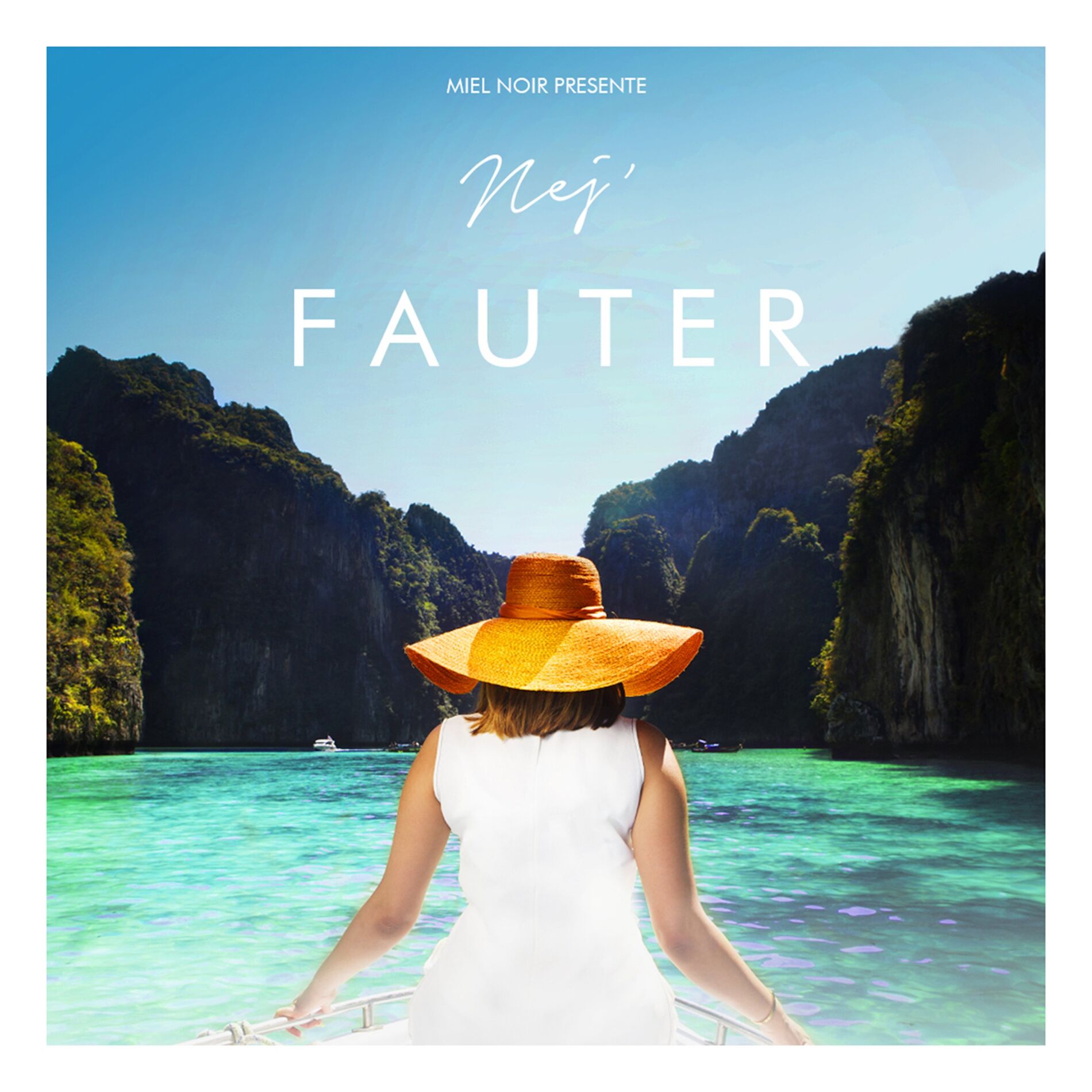 Album cover of Fauter