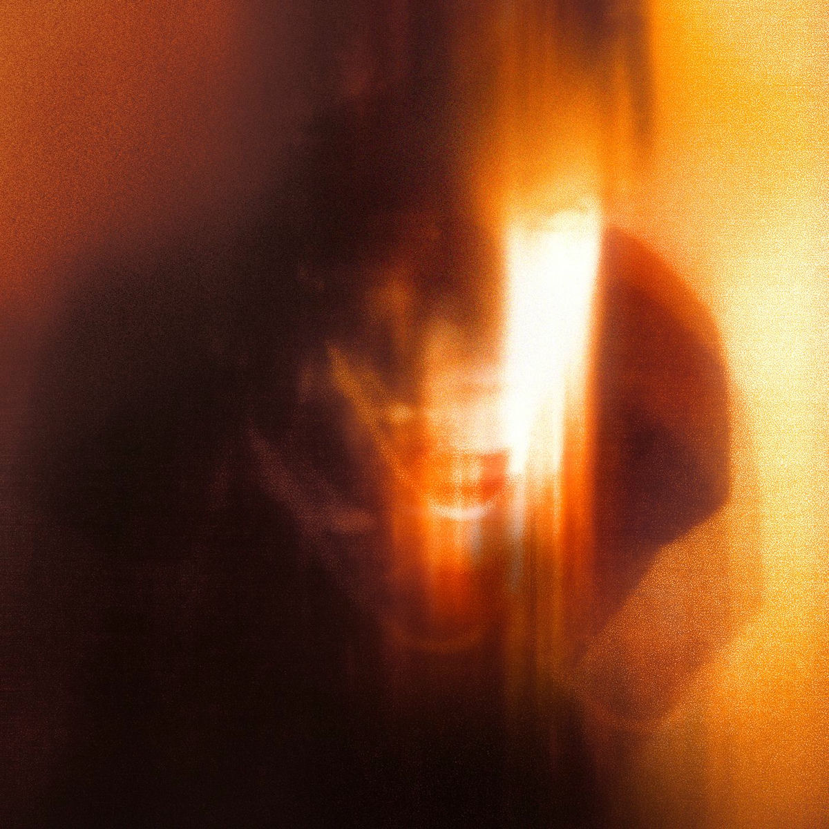 Album cover of Fever