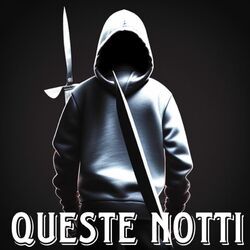 Cover of QUESTE NOTTI