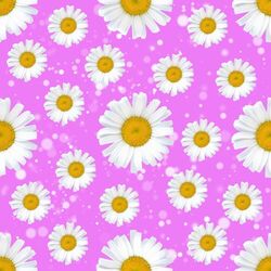 Cover of Ambiance for Summer Classics
