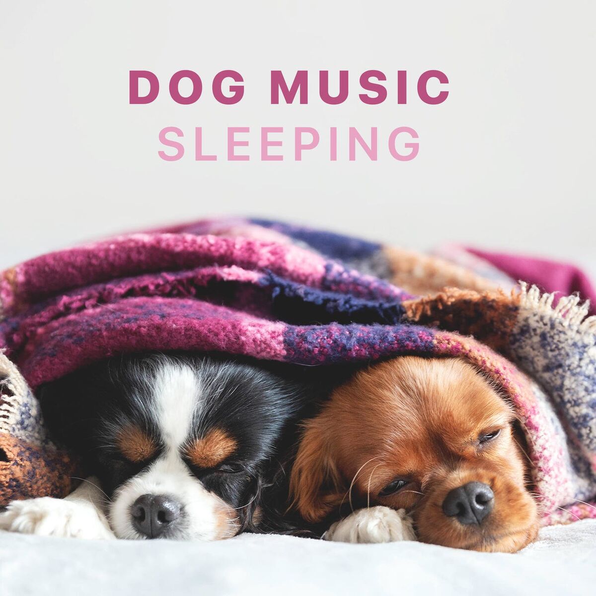 Album cover of Dog Music - Sleeping Songs for Dogs and Puppies