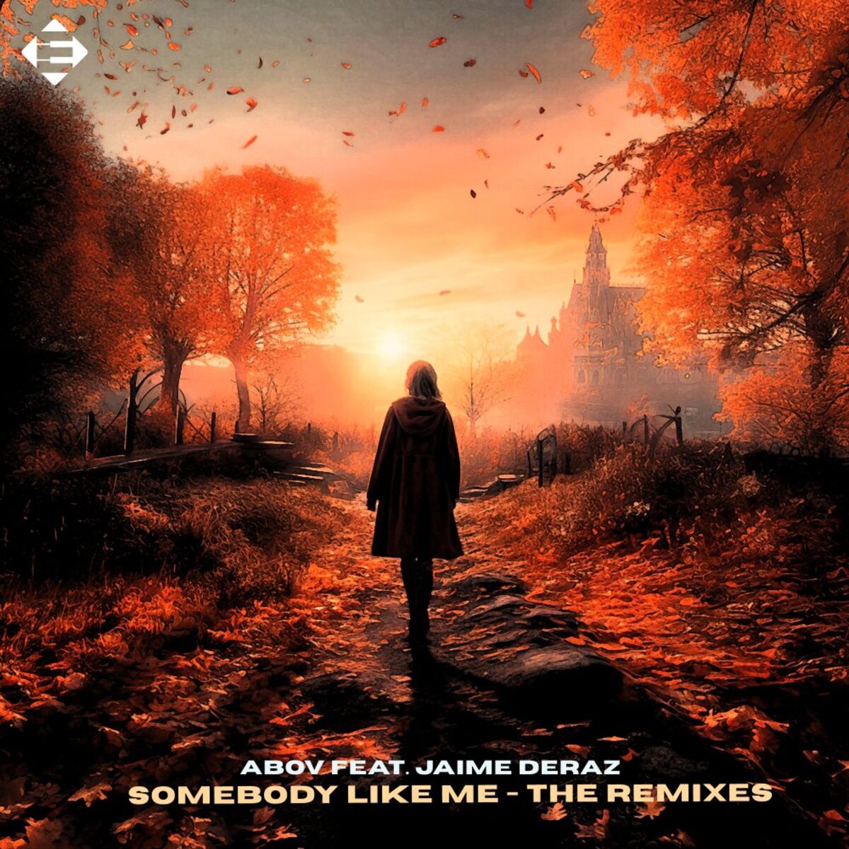 Album cover of Somebody Like Me - The Remixes