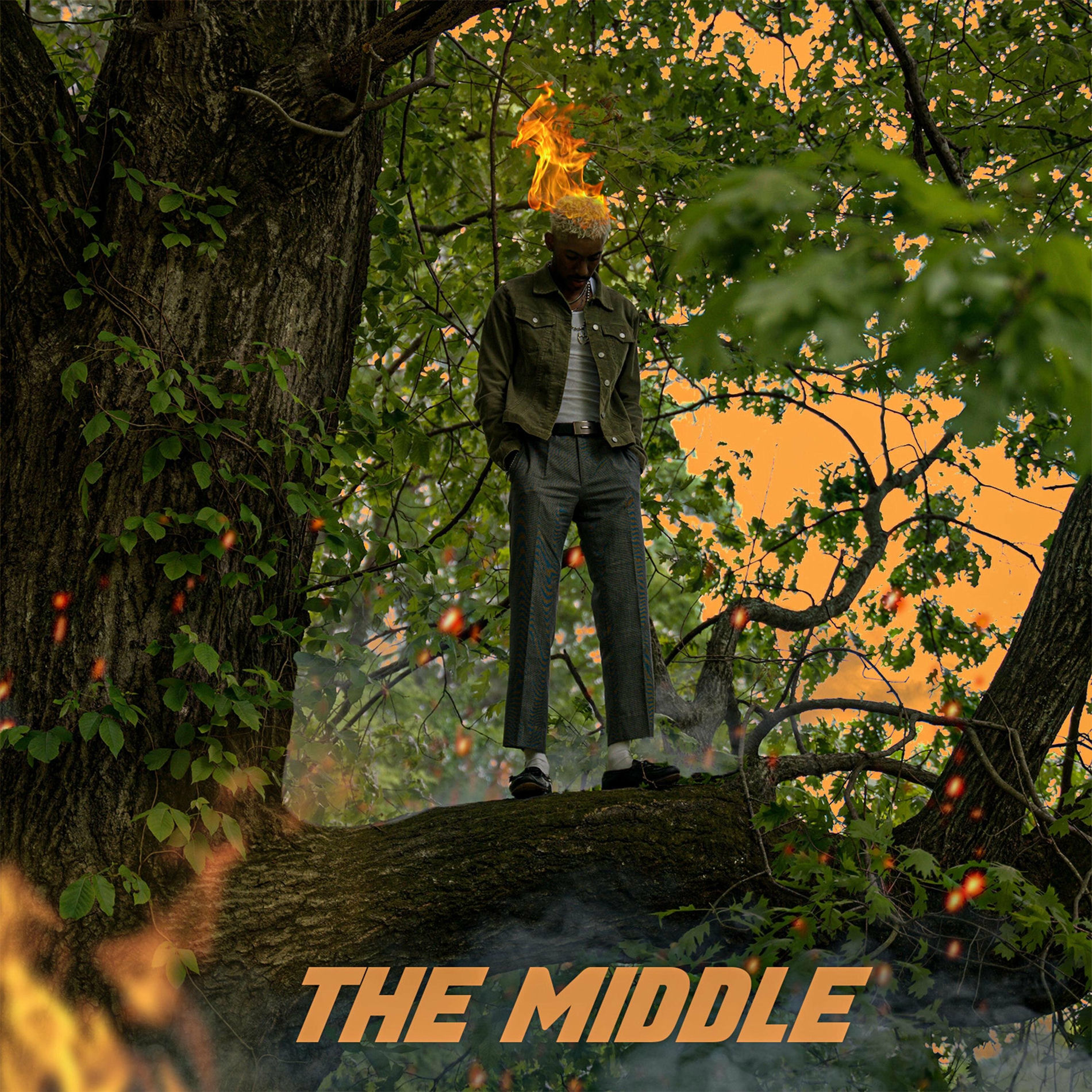 Album cover of THE MIDDLE