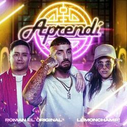 Cover of Aprendí