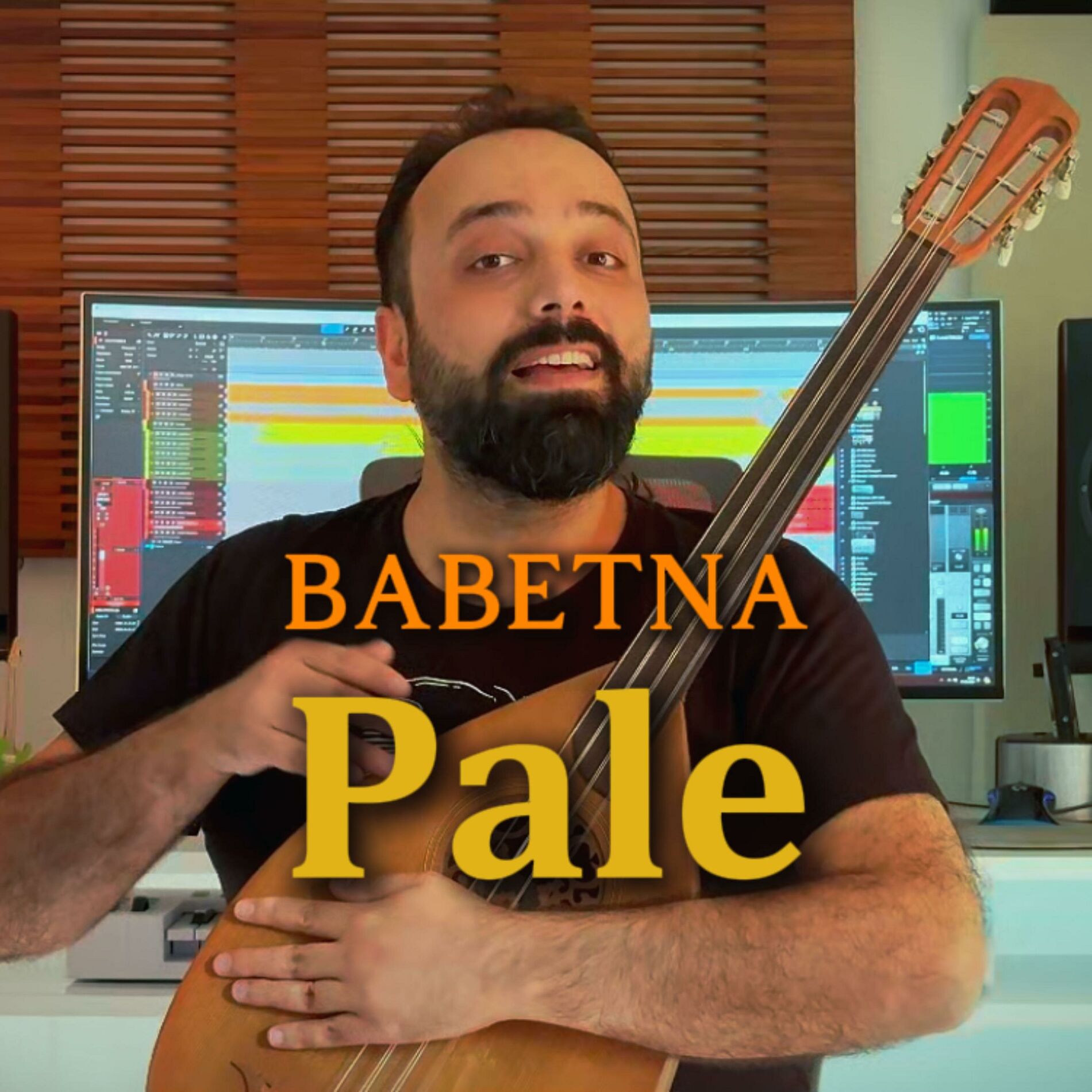Album cover of Pale (Acoustic)